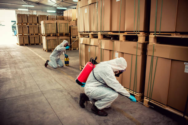 Best Exterminator Services  in Sinking Spring, PA