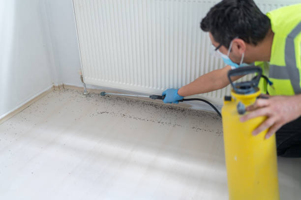 Trusted Sinking Spring, PA Pest Control Experts